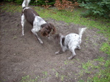 dscn0987.jpg