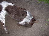 dscn0989.jpg
