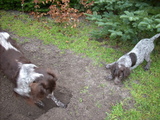 dscn0990.jpg