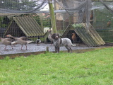 dscn0992.jpg
