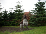 dscn0993.jpg