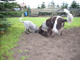 dscn0995.jpg