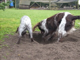 dscn0996.jpg