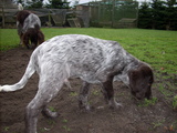 dscn0997.jpg
