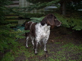 dscn1000.jpg