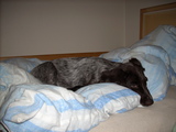 dscn1001.jpg