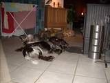 dscn1002.jpg