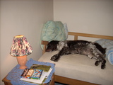 dscn1003.jpg