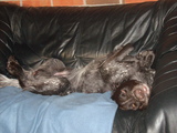 dscn2391.jpg