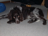 dscn2394.jpg