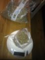 IMAG0185.jpg