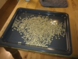 IMAG0186.jpg