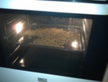 IMAG0187.jpg
