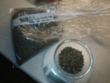 IMAG0217.jpg