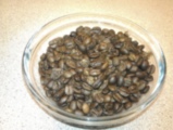 IMAG0219.jpg