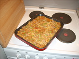 dscn0321.jpg