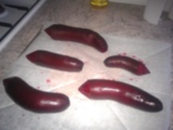 IMAG0217.jpg