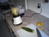 IMAG0263.jpg