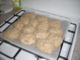 dscn2740.jpg