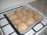 dscn2741.jpg