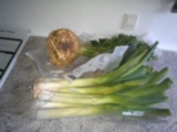 dscn2745.jpg