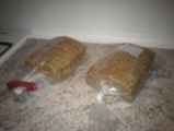 IMAG0284.jpg