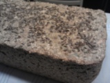IMAG0274.jpg
