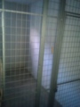 IMAG0130.jpg