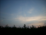 dscn0155.jpg