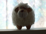 dscn0206.jpg
