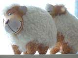 dscn0207.jpg