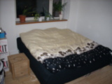 dscn2602.jpg