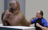 walrus-saxophone.jpg