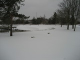 IMG_0356.jpg