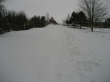 IMG_0357.jpg