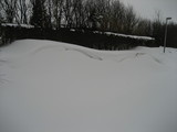 IMG_0359.jpg