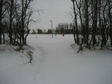IMG_0365.jpg