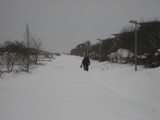 IMG_0371.jpg