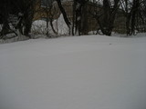 IMG_0373.jpg