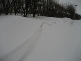 IMG_0374.jpg