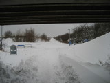 IMG_0385.jpg
