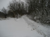 IMG_0393.jpg