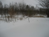IMG_0394.jpg