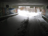 IMG_0396.jpg