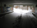 IMG_0397.jpg