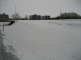 IMG_0415.jpg