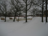 IMG_0421.jpg