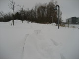 IMG_0422.jpg