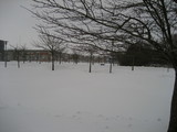 IMG_0426.jpg