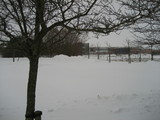 IMG_0427.jpg